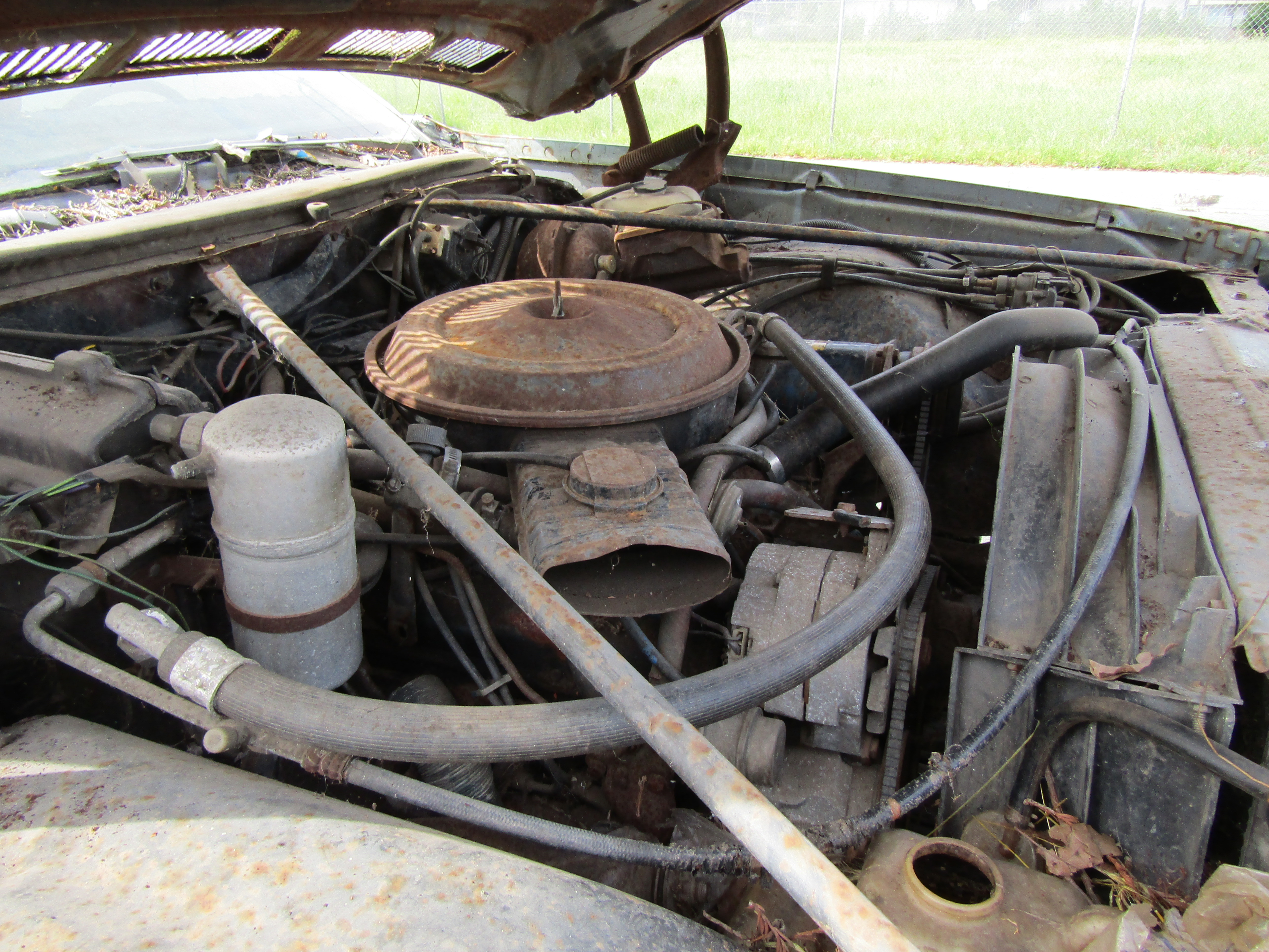 1976,1977, Chevrolet, El, Camino,Door, Shell, Hood, Left, Right, Front, Rear, quarter, Panel, Fender, Deck, Lid, Frame, Glass, Back, trim, Molding, dash, Cowl, Section, Suspension