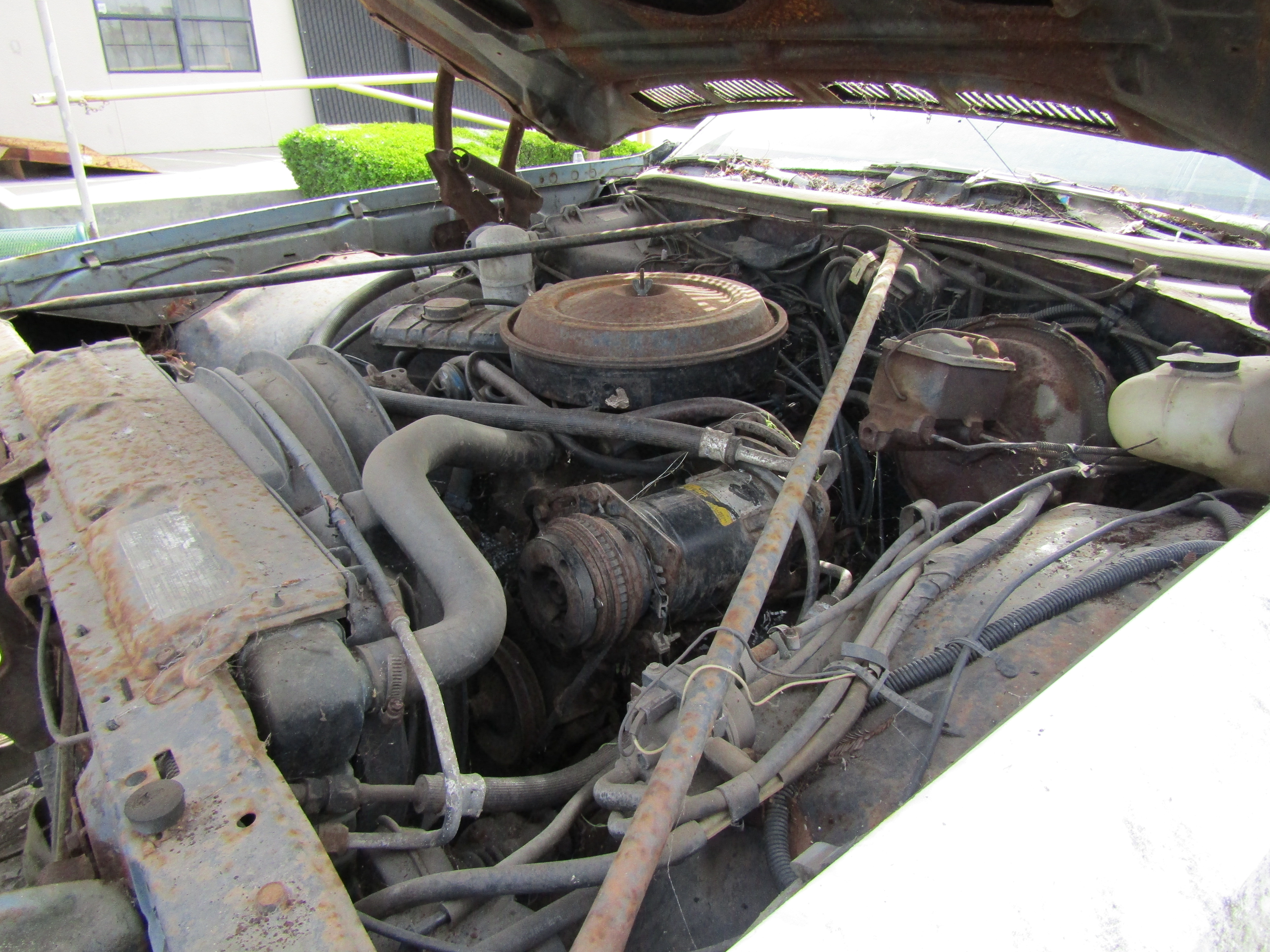 1976,1977, Chevrolet, El, Camino,Door, Shell, Hood, Left, Right, Front, Rear, quarter, Panel, Fender, Deck, Lid, Frame, Glass, Back, trim, Molding, dash, Cowl, Section, Suspension